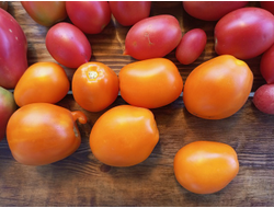 Томат Золото Колчака