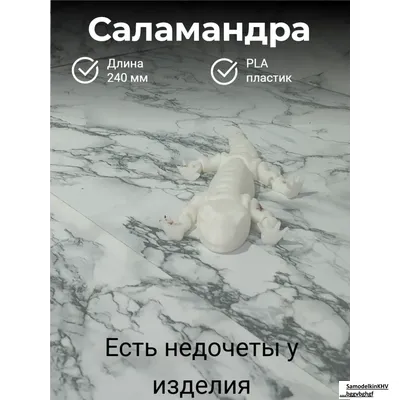 Саламандра