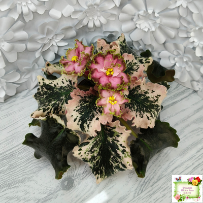 МТ-Пески Времени (М. Тотиева) 2022 г.