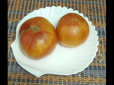 Томат Желто-оранжевые от Умриловой