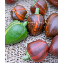 Перец сладкий Madame Paraplü (Мадам Параплю), 10 шт