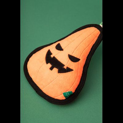 Игрушка для животных "Тыква Пура"