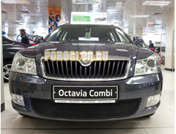 Защита радиатора Skoda Octavia А5 2009-2012 black