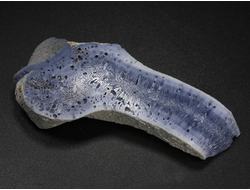 Коралл голубой Акори, Австралия (64*28*10 мм, 20 г) №37704