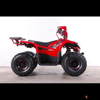 Квадроцикл GreenCamel Gobi K90 (42Ah 48V 750W R7 Дифф) LUX Bluetooth Красный