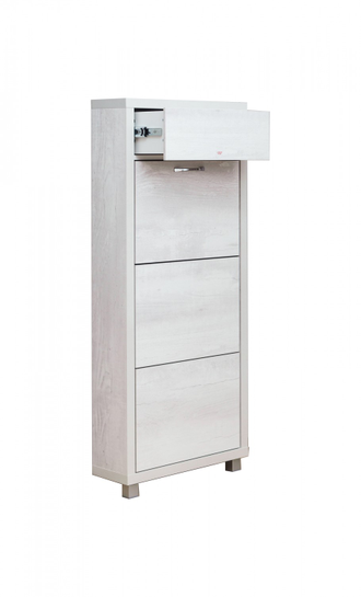 Обувница Айрон-3 Плюс (фасад ЛДСП)