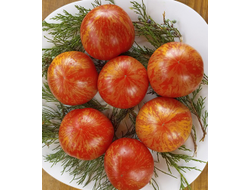 Томат Солнечная вспышка (Solar flare)