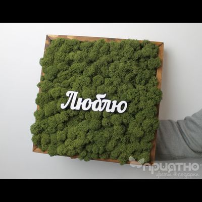 ЖИВАЯ ЭКО-КАРТИНА 1063