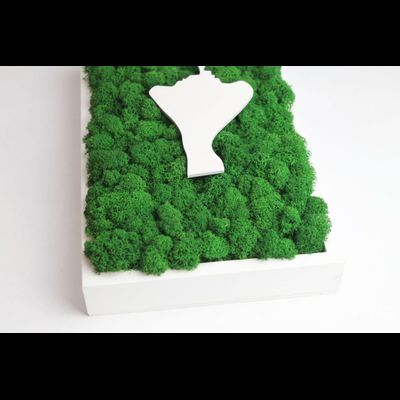 ЖИВАЯ ЭКО-КАРТИНА 1030