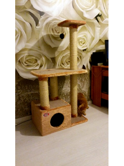 №145 Домик для кошки Мега  +