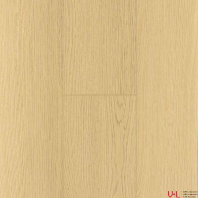 SPC ламинат First Floor Отборный Дуб Классика 1F055