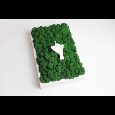 ЖИВАЯ ЭКО-КАРТИНА 07 - ДЕНЬ ВЛЮБЛЕННЫХ