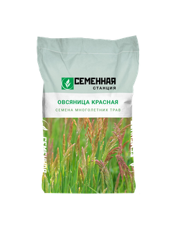 Семена фацелии, 10кг