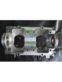 Комплект 2: дополнительный подшипник коленвала в обойме с сальником + обойма с сальником для картера РМЗ-640