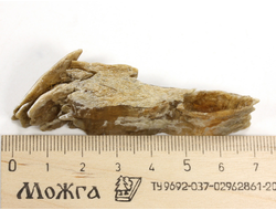 Гипс, кристалл, Россия, Ставропольский край (70*24*18 мм, 21 г) №29490