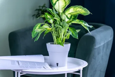 ГОРШОК &quot;ДАЛИ СОФТ&quot; 5 л, цвет Серый