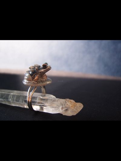 "Каменная Драконья Лягушка", кольцо в стиле фэнтези