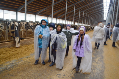 Экскурсия на молочную ферму "ЭкоНива" и молочный завод