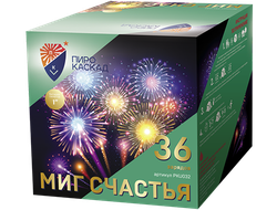 Миг счастья (36/1)