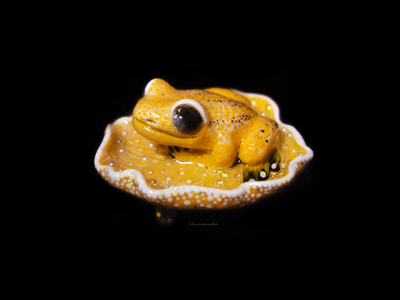 Мини-брошь "Притягивающая солнечный свет", украшение с лягушкой