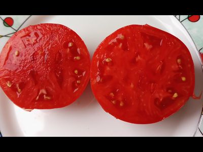 Томат Июнь розовый (June Pink)