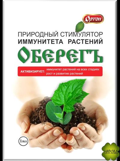 ОБЕРЕГЪ. ПРИРОДНЫЙ СТИМУЛЯТОР ИММУНИТЕТА