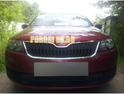 Защита радиатора Skoda Rapid 2013-2017 (2 части) black