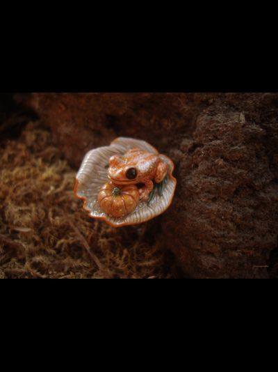 Кольцо с лягушкой "Принцесса Тыковка, наследница Урожайных Полей"