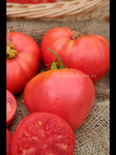 Томат Минусинский Низкий, 10 шт
