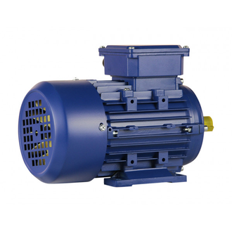 Электродвигатель 5АИ 71B8 (0,25 кВт) IM 1081