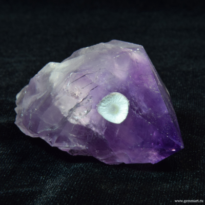 Аметист - кристалл с включениями Какоксенита(?)