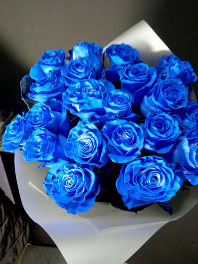 Синяя роза Эквадор 60 см. 21 шт