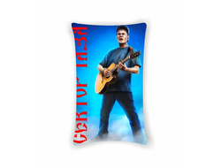 Подушка Сектор Газа, Юрий Хой №38