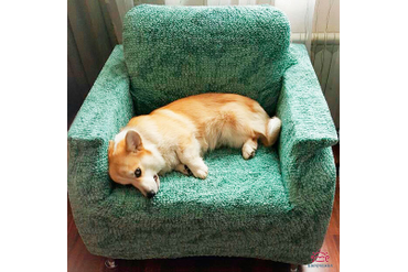 Чехол на кресло Виста Изумруд..и хозяин кресла)))