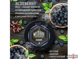 MUST HAVE 25g - Blueberry (Черничный йогурт)
