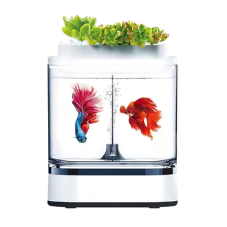 Акваферма Xiaomi Geometry Mini Lazy Fish Tank Pro C300