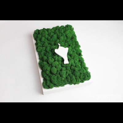 ЖИВАЯ ЭКО-КАРТИНА 1029