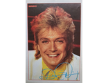 David Cassidy Музыкальные открытки, Original Music Card, винтажные почтовые открытки, Intpressshop