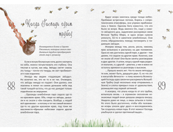 Екатерина Осоченко. Ресурсные сказки для усталых мам.