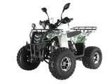 Детский квадроцикл WELS THUNDER EVO LUX X 125
