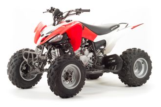 Квадроцикл ATV 250S фото