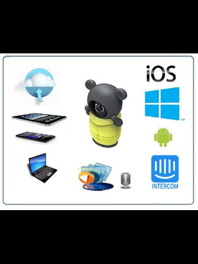 Видеоняня /WiFi видеокамера CleverDog Мишка Тедди с DVR (комплект)