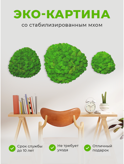 МИКС ЭКО-КАРТИН 1015