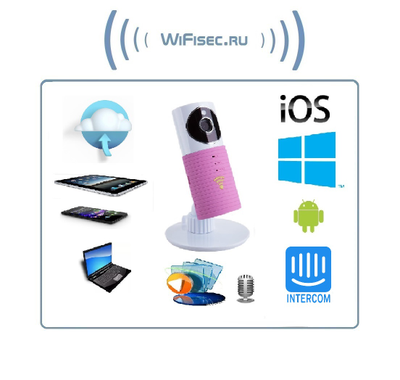 Видеоняня /WiFi видеокамера CleverDog Rose с DVR