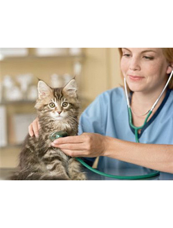 Повторный клинический осмотр