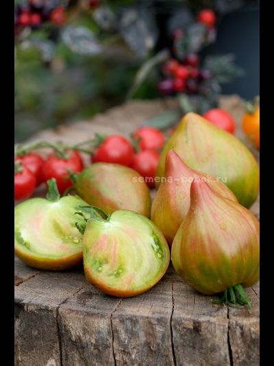 Томат Волшебная Радуга, 10 шт