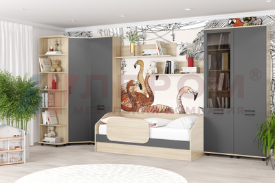 Композиция детской ГРЕЙС корпус Ясень Асахи/фасад Антрацит Матовый