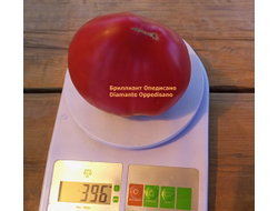 Томат Бриллиант Оппедисано (Diamante Oppedisano)