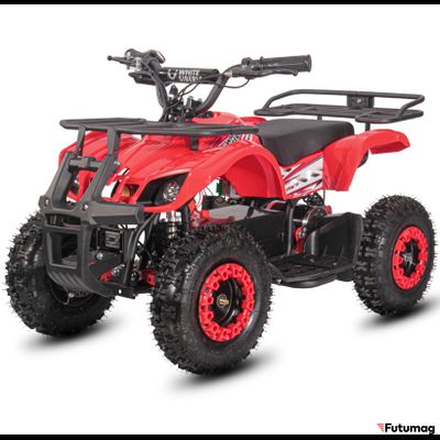 Электроквадроцикл WHITE SIBERIA SNEG MINI 1000W Красный