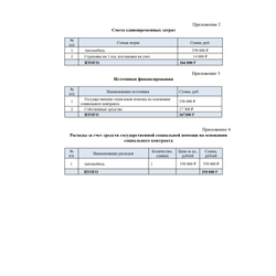 Индивидуальный бизнес-план для соцконтракта